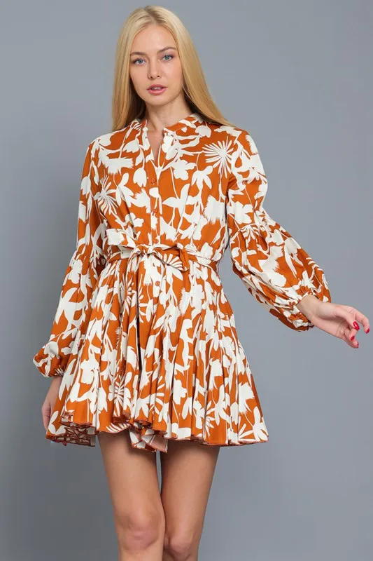 Long Sleeve Belted Mini Dress