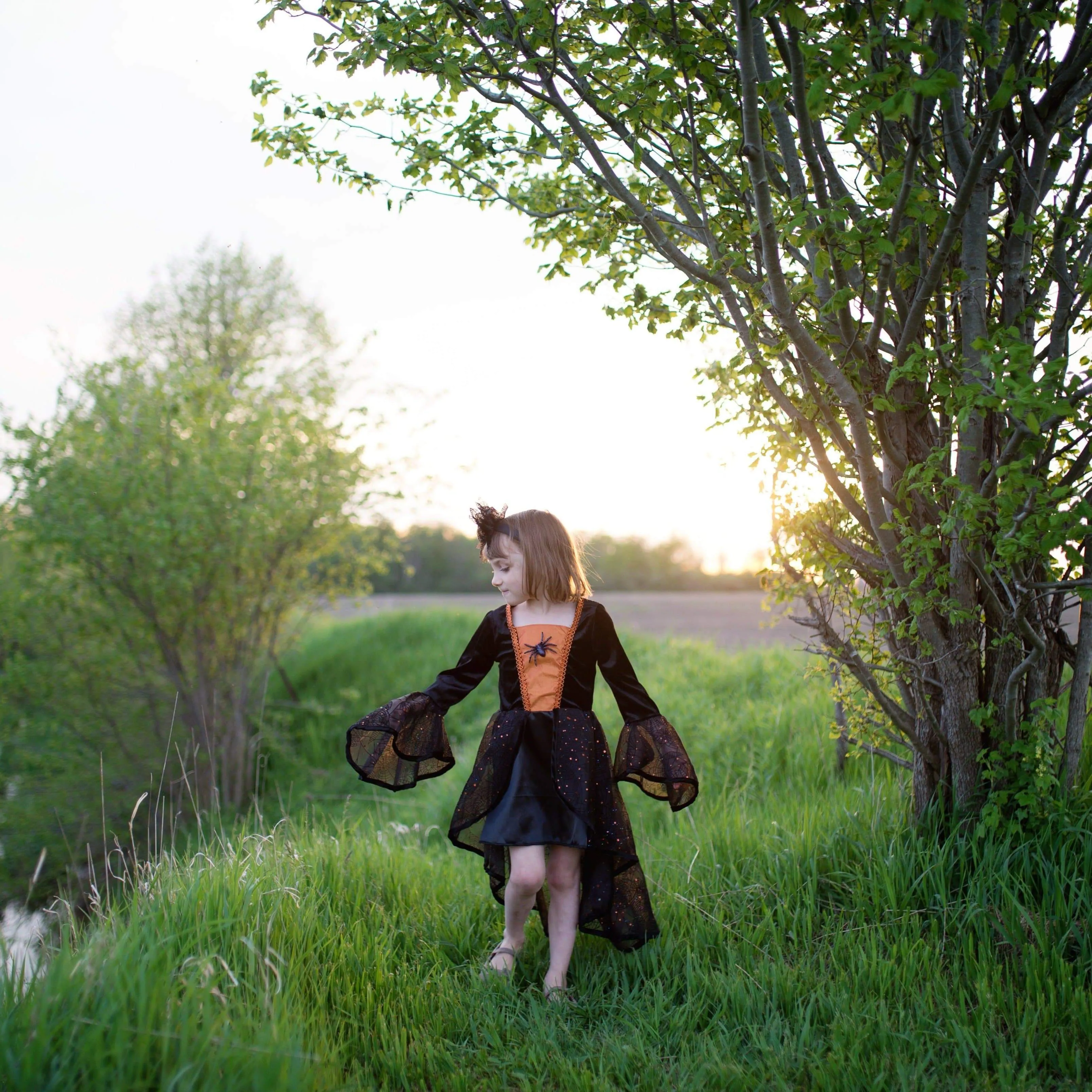 The Spider Witch Dress